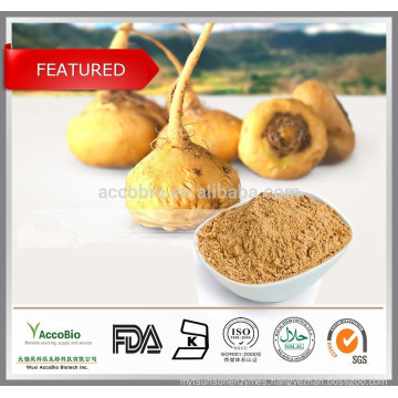 Organic Maca root Powder/ Pure Maca extract/ Natural Maca price